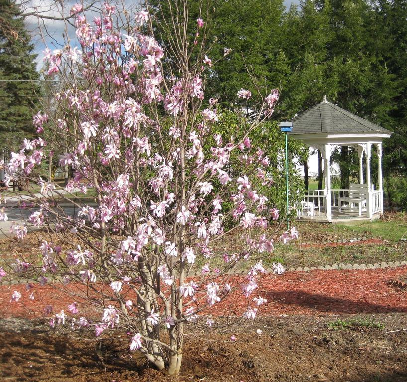 The Bridges At Whitcomb House Bed & Breakfast 3*
