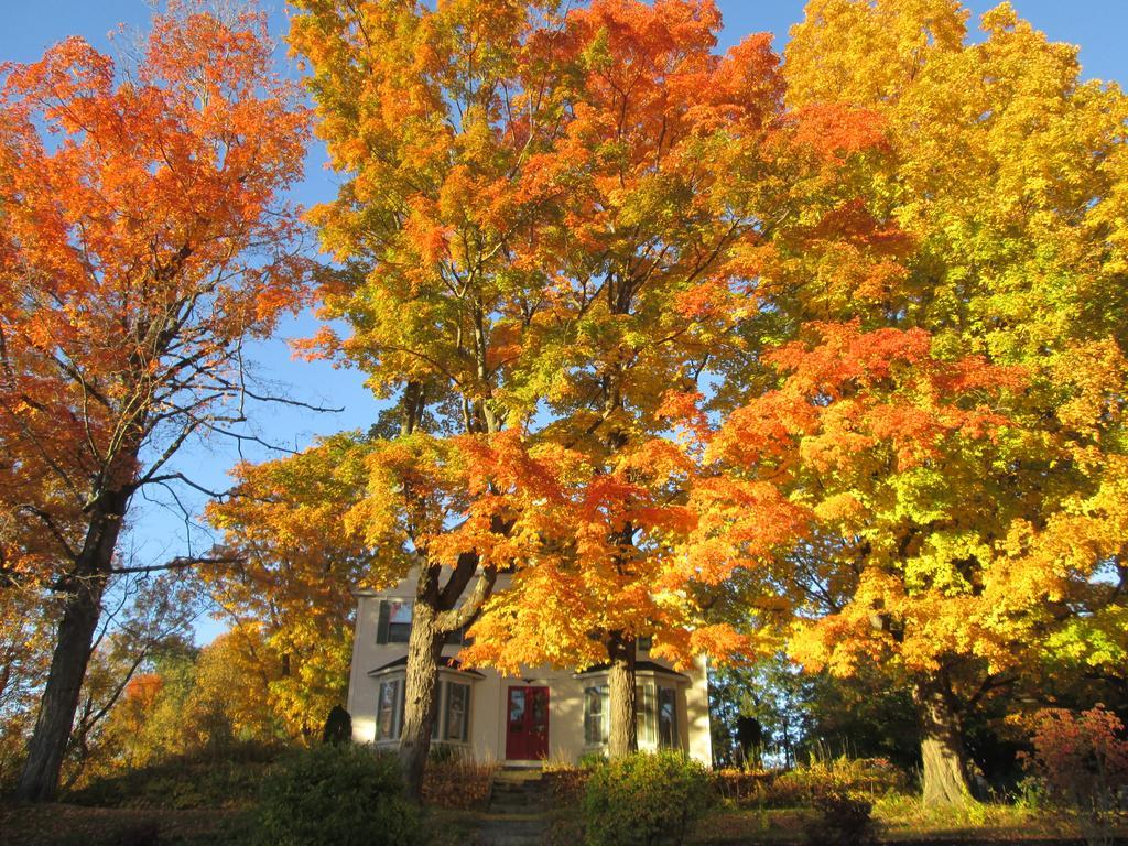 The Bridges At Whitcomb House Bed & Breakfast Swanzey
