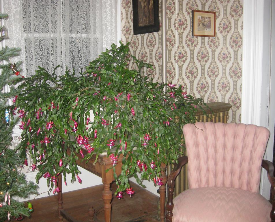 Bed & Breakfast The Bridges At Whitcomb House 3*